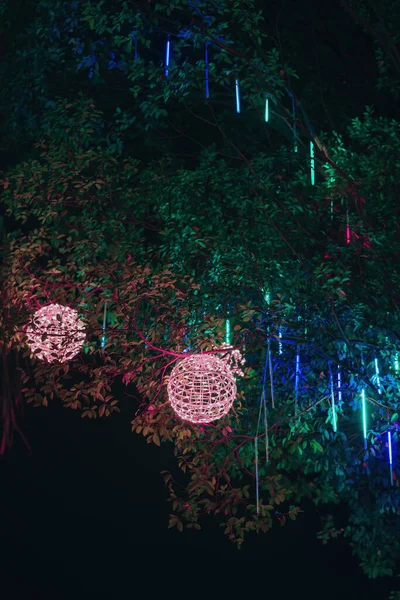 Luz Mágica Colorida Iluminada Árvore Noite — Fotografia de Stock