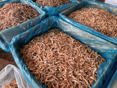 Markette satılık konteynırlarda kurutulmuş ançüez..