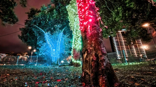 Colourful Trees Waterfront Park Night — Foto de Stock