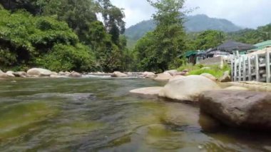 Handheld, Big rocks by the Nature river rainforest flowing