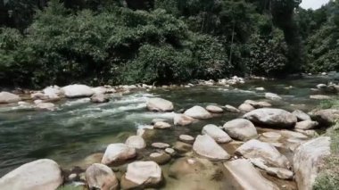 Panning to left Nature river flowing next rainforest vintage style