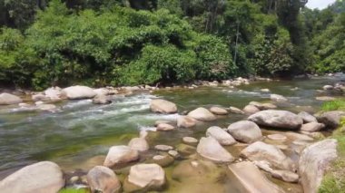 Panning to left Nature river flowing next rainforest