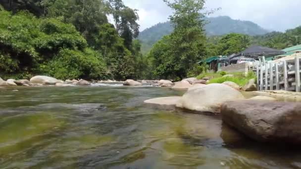 Handheld Big Rocks Nature River Rainforest Flowing — Stockvideo