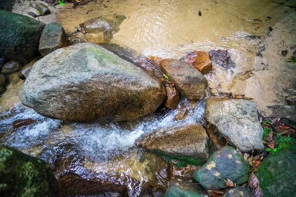 River stones near the stream. View water river flowing through the, Stone river in hte rainforest