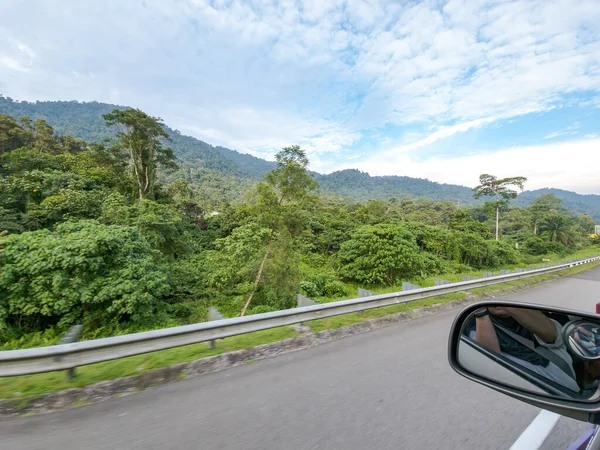 Θέα Από Αυτοκίνητο Στο Τροπικό Δάσος Ζούγκλα Τοπίο — Φωτογραφία Αρχείου