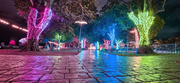 Bäume Freien Mit Bunten Led Lichterketten Zur Dekoration Park — Stockfoto