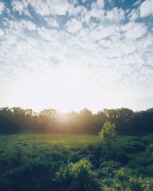 Yağmur ormanları ve yeşil alanın yakınında gün doğumu.