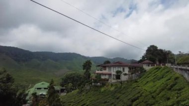 Cameron Highlands, Malezya, Sep 16, 2022 4k el bilgisayarı manzaranın bir ucundan diğer ucuna hareket ediyor, Çay Çiftliği bahçesi, bulutlu gökyüzü. Endüstriyel çiftlik