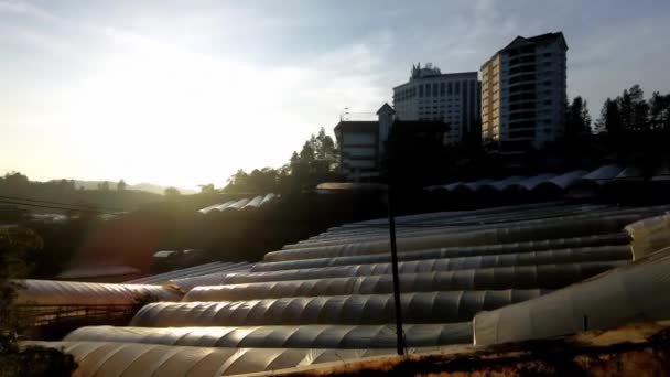 Cameron Highlands Malaysia Sep 2022 Время Захода Солнца Перемещающегося Слева — стоковое видео