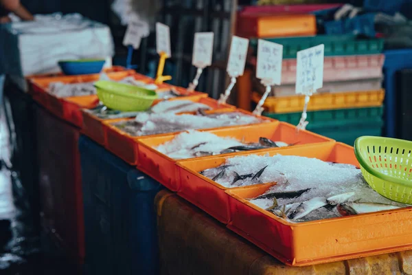 Frutos Mar Para Venda Mercado Peixe — Fotografia de Stock