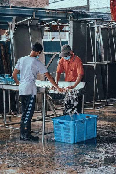 Секинчан Малайзия Октября 2022 Огнеборцы Вылавливают Улов Рыбы Контейнерах Причала — стоковое фото