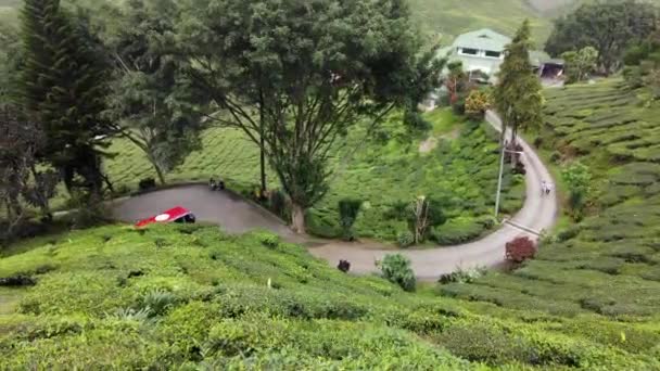 Cameron Highlands Maleisië Sep 2022 Handheld Uitzicht Mini Trein Theeboerderij — Stockvideo