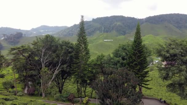Cameron Highlands Μαλαισία Σεπτέμβριος 2022 Άποψη Χειρός Όμορφο Τοπίο Panning — Αρχείο Βίντεο