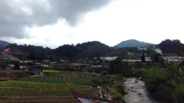 Cameron Highlands, Malezya, 17 Sep 2022 Cameron Highlands, Ringlet 'te akan doğal nehirle köprüden geçen Sebze çiftliğinin 4K manzarası harika.