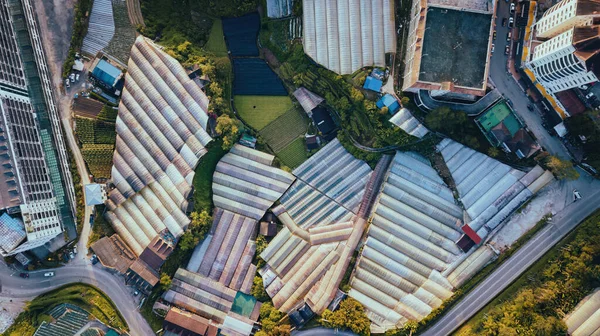 Aerial view of greenhouses lined up in row, covered with transparent film aerial view. Texture of the roofs of greenhouses top view. Farming, bioproducts. Drone