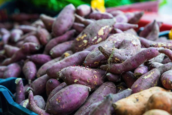 vitelotte, the raw potatoes for sale at the market.