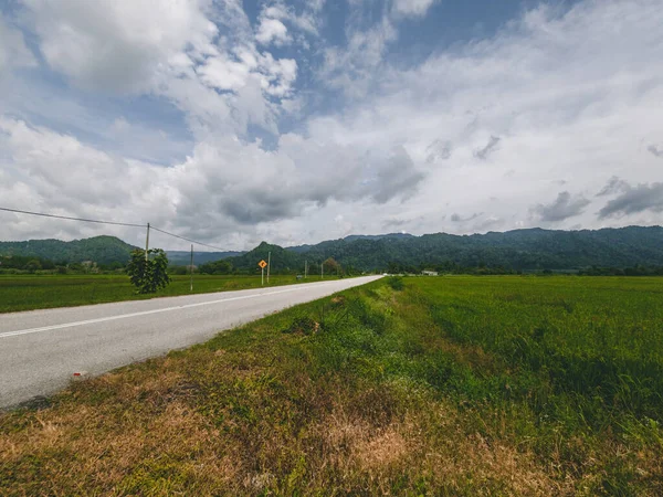 Όμορφο Πράσινο Ορυζώνες Κοντά Στο Βουνό Στο Perlis Μαλαισία — Φωτογραφία Αρχείου