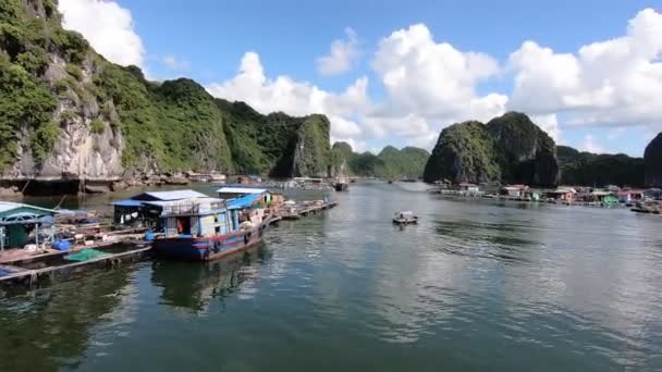 Fishing Floating Village Halong Bay Vietnam High Quality Fullhd Footage — Video