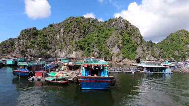 Fishing Floating Village Halong Bay Vietnam High Quality Fullhd Footage — Stok video