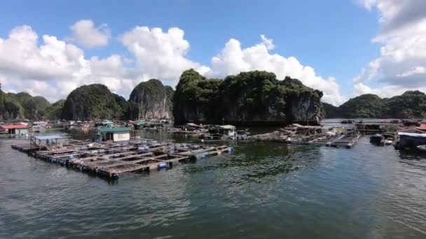 Fishing Floating Village Halong Bay Vietnam High Quality Fullhd Footage — 비디오