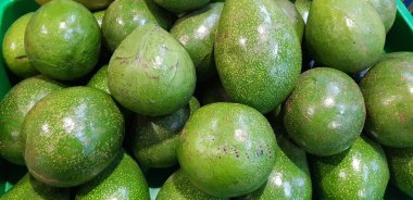 Sepette taze avokado meyvesi üretimi, yeni hasat edildi, salata ya da guacamole için gıda hazırlama malzemesi olarak kullanılacak, ya da tavuk sarması, sığır eti ve sebze ambalajı yiyecekler. Buritos, fajitas ve quesadilla 'da sıkça kullanılır.