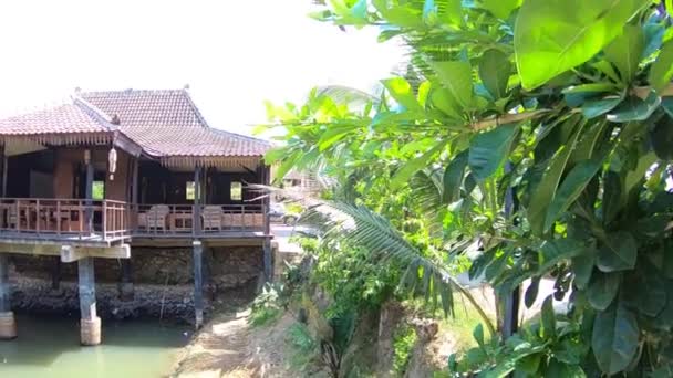 宁静的大自然全景 迷人的印度尼西亚乡村热带生活空间全景 传统住宅 — 图库视频影像