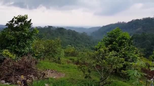 Vackert Landskap Bergigt Område Med Gröna Träd Och Blå Himmel — Stockvideo