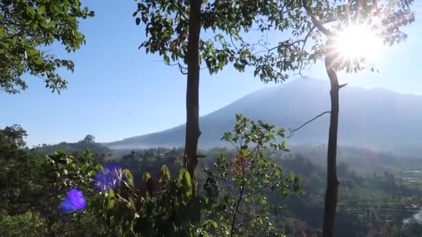 Bellissimo Paesaggio Mattutino Zona Montuosa Con Alberi Verdi Cielo Blu — Video Stock