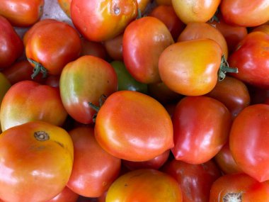 Taze kırmızı domatesler arka plan için iyidir. Bir grup kırmızı domates.