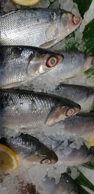 fresh milk fish or milkfish or Chanos chanos or Chanidae or Cretaceous or tautonym or awa or ava or bangus or bandeng or bolu or in the market