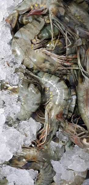 Fresh Shrimp Raw Shrimp Crustacean Crustaceae Market Indonesia — Photo