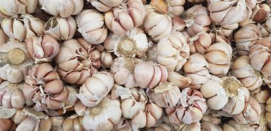 Siyah arka planda sarımsak soğanları, yakın plan. Organik sarımsaklı üst manzara. Yemek arkaplanı. Seçici odak.