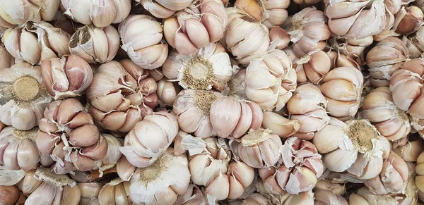 Siyah arka planda sarımsak soğanları, yakın plan. Organik sarımsaklı üst manzara. Yemek arkaplanı. Seçici odak.