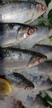 fresh milkfish or Chanos chanos or Chanidae, Cretaceous, tautonym, awa, ava, or ikan bandeng, bolu, in the market