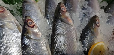 fresh milkfish or Chanos chanos or Chanidae, Cretaceous, tautonym, awa, ava, or ikan bandeng, bolu, in the market
