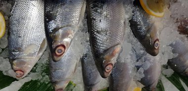 fresh milkfish or Chanos chanos or Chanidae, Cretaceous, tautonym, awa, ava, or ikan bandeng, bolu, in the market