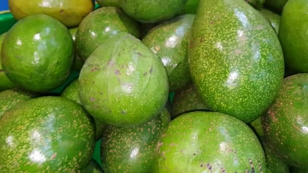 아보카도 열매를 바구니에 수확하거나 수확하거나 샐러드나과 몰리를 만드는 용하거나 닭고기 — 비디오