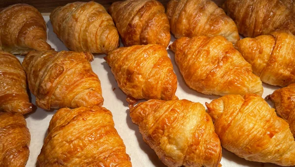 Fresh Baked Croissants. Warm Fresh Buttery Croissants and Rolls. French and American Croissants and Baked Pastries are enjoyed world wide good with jam