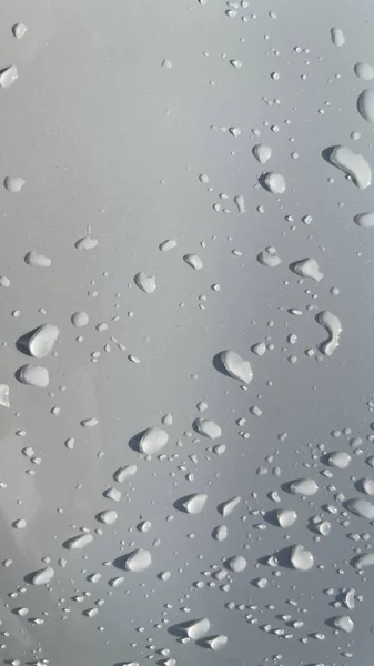 水滴透视通过白色的表面有利于多媒体内容的背景 新鲜的露水 — 图库照片