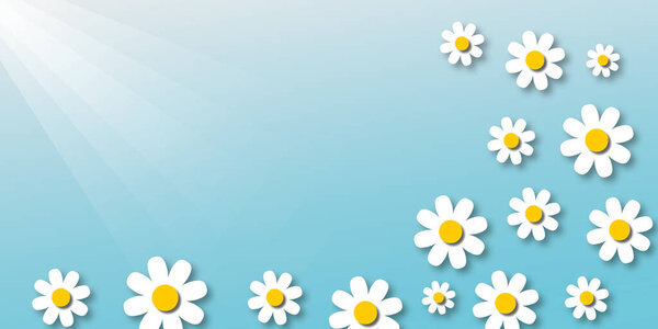 Белые ромашки или ромашки цветы с солнечным светом на мягком голубом фоне, природа или весенне-летняя концепция, пространство для текста, дизайн бумаги вырезать.