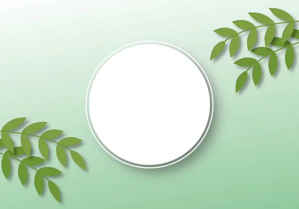 Blank Circle Leaf Pastel Green Background Concept Product Display Banner — Photo