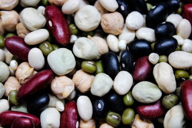 Birkaç çeşit fasulyeye yakın çekim.