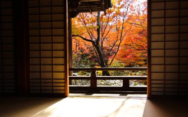 Renkli sonbahar yapraklarını görmek için kapıyı aç, Kyoto, Japonya