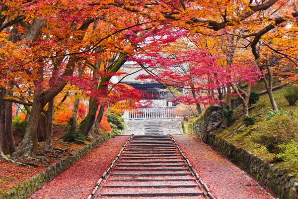 Renkli Sonbahar Yaprakları, Bishamon-Do Tapınağı, Kyoto, Japonya