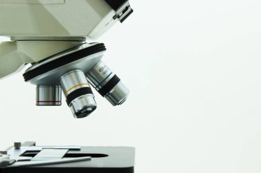 Beyaz Arkaplanda mikroskop izole edildi