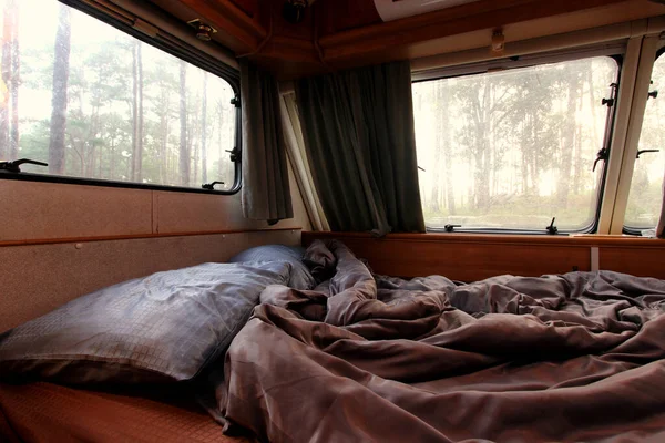 Lit Camping Car Avec Vue Sur Forêt Pins Fenêtre — Photo