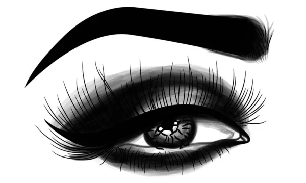 Mükemmel Şekilli Kaşları Olan Yapımı Kadın Gözleri Yoğun Dumanlı Makyajlı — Stok Vektör