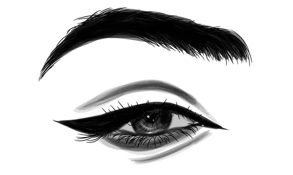 手工制造的女性眼睛 眉毛完美 睫毛丰满 名片的创意 矢量排版 完美的沙龙风格 — 图库矢量图片