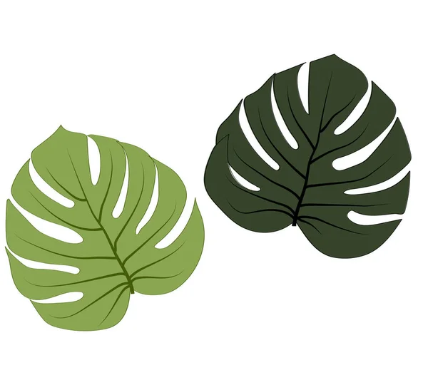 Feuille Tropicale Avec Deux Couleurs Différentes — Image vectorielle
