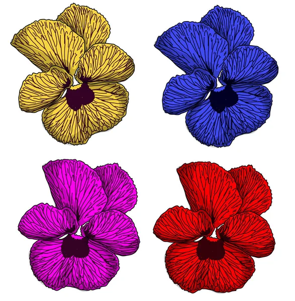 Négy Vektor Virág Különböző Színekkel — Stock Vector